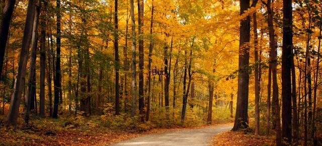 NVAW: Walking humbly with others.